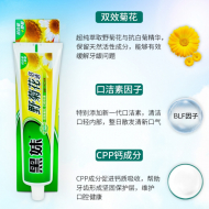 160g+40g黑妹野菊花牙膏1*6