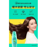 200g飘柔发水(绿色滋润去皮)